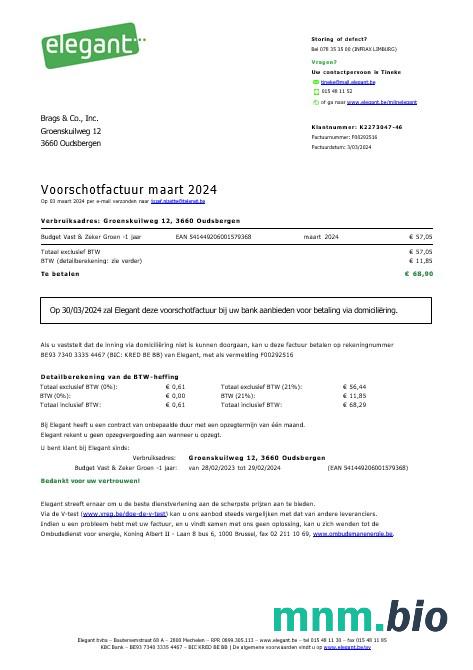Belgia elegancki biznes narzędzie bill Word i PDF szablon